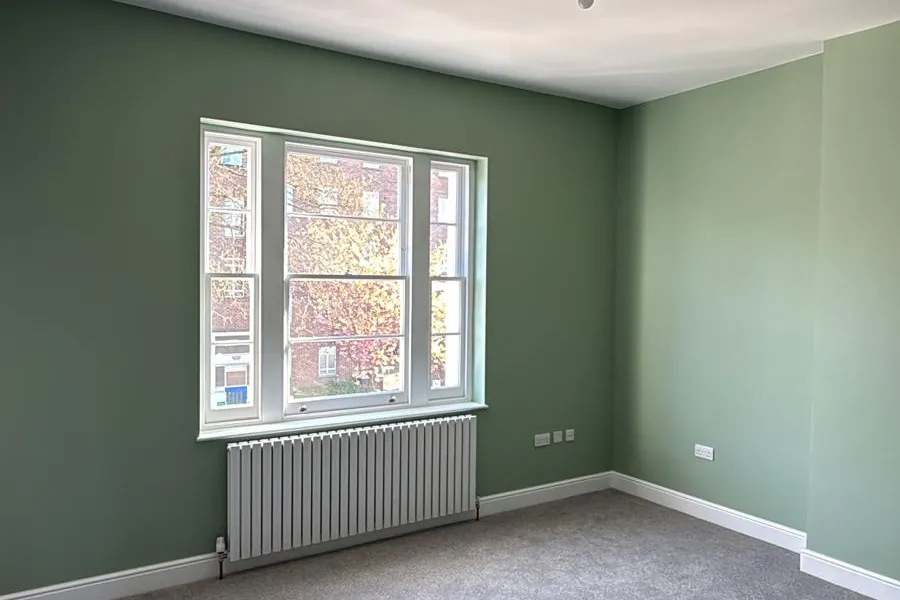 Bedroom with a painted feature wall and white ceiling